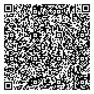 vCard 79335535317