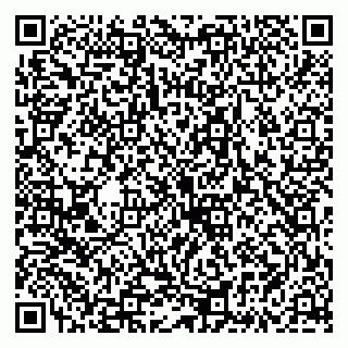 vCard 79335535320