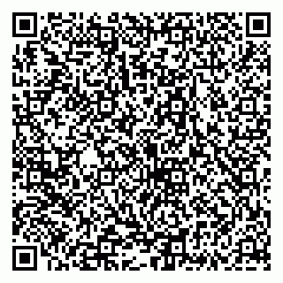 vCard 79335535324