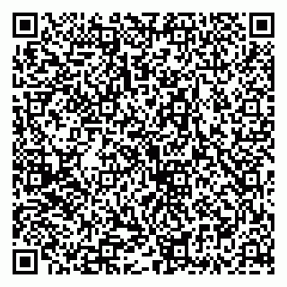 vCard 79335535329