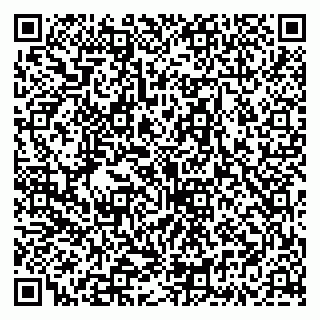 vCard 79335535331