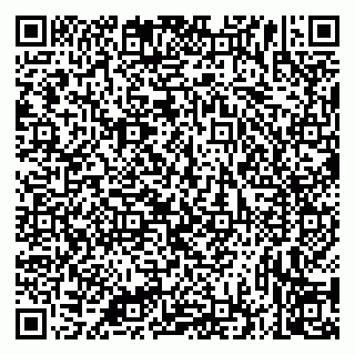 vCard 79335535333