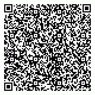 vCard 79335535341