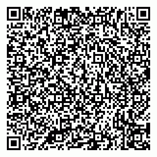 vCard 79335535358