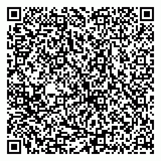vCard 79335535367