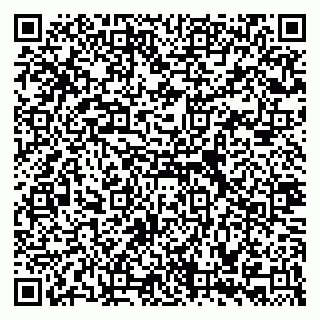 vCard 79335535377