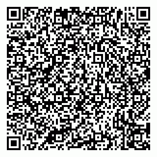 vCard 79335535378