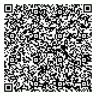 vCard 79335535379