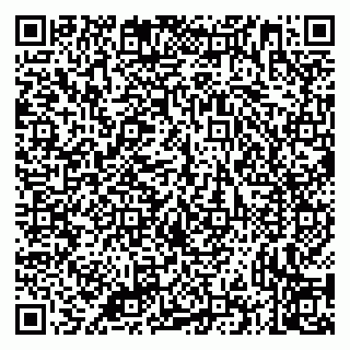 vCard 79335535380