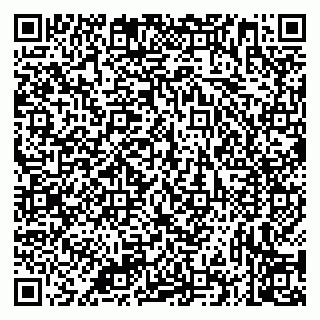 vCard 79335535382