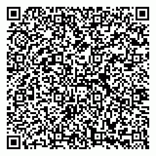 vCard 79335535385