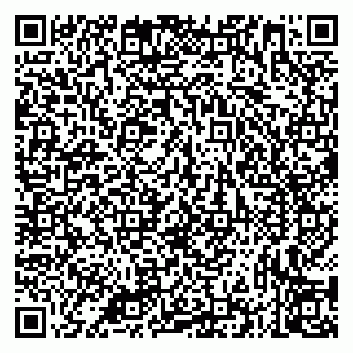 vCard 79335535386
