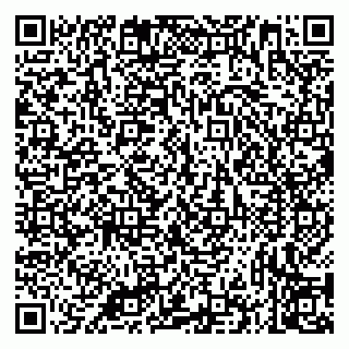 vCard 79335535387