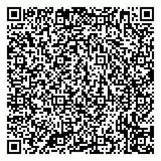 vCard 79335535389