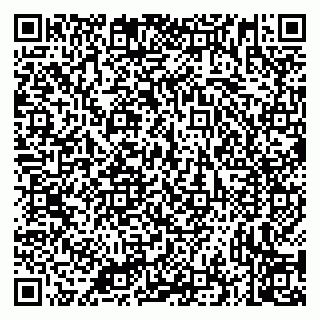 vCard 79335535390