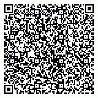 vCard 79335535395