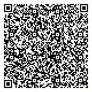 vCard 79335535397