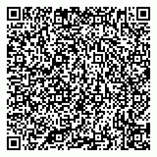 vCard 79335535398
