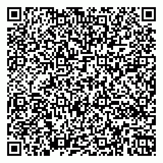 vCard 79360000035