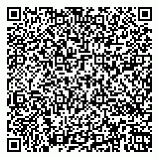 vCard 79360000087
