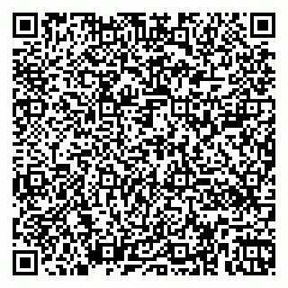 vCard 79360000131