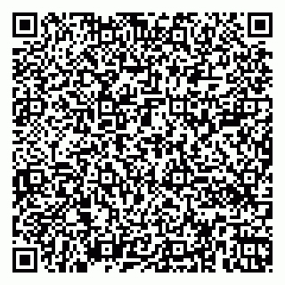 vCard 79360000133