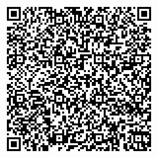 vCard 79360000211