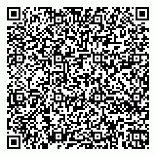 vCard 79360000290