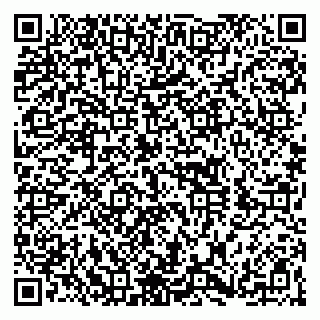 vCard 79360000294