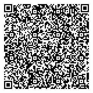 vCard 79360000295