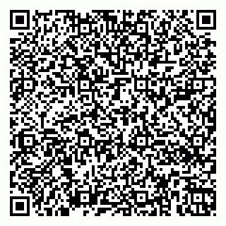 vCard 79360000297