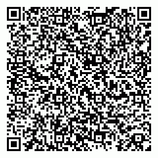 vCard 79360000300