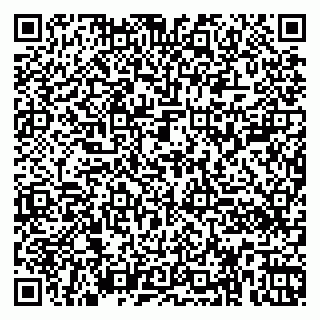 vCard 79360000313