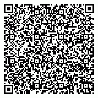 vCard 79360000317