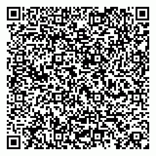 vCard 79360000333