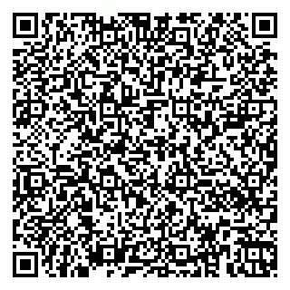 vCard 79360000384