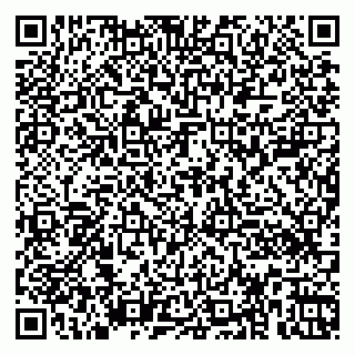 vCard 79360000993