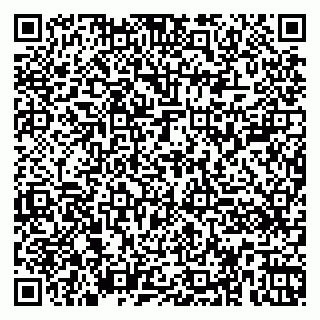 vCard 79360001333