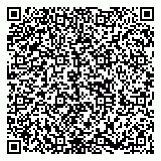 vCard 79360001335