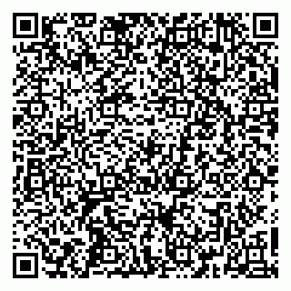 vCard 79360001381