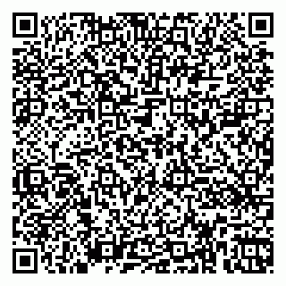 vCard 79360001411