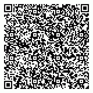 vCard 79360001963