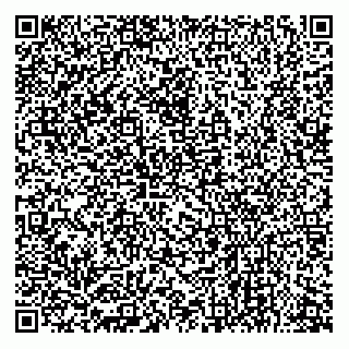 vCard 79360001977