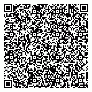 vCard 79361000413