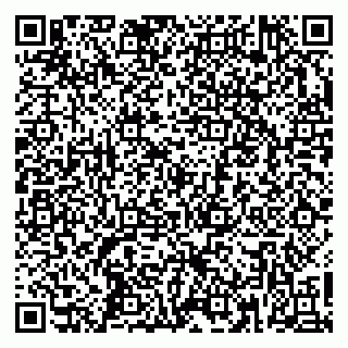 vCard 79361000533