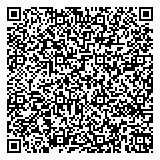 vCard 79361000535
