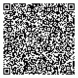 vCard 79361000539