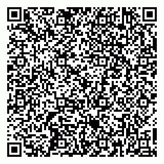 vCard 79361005173