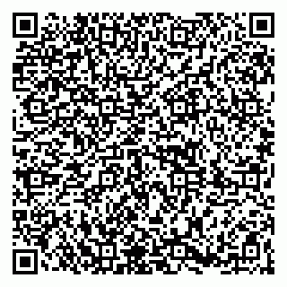 vCard 79361005221