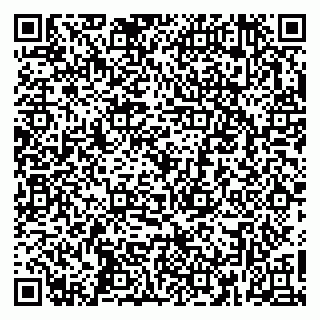 vCard 79361005311